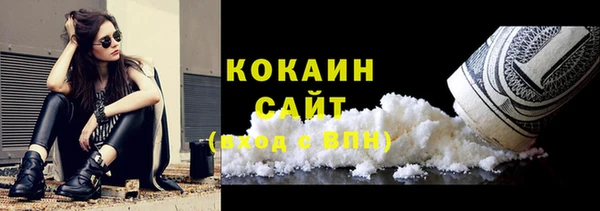 стафф Новокубанск