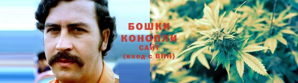 spice Новозыбков