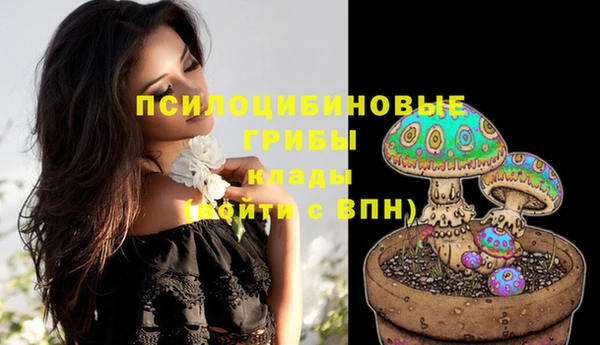 стафф Новокубанск