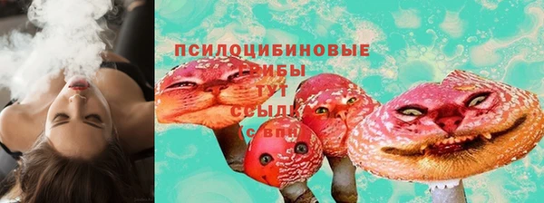 стафф Новокубанск