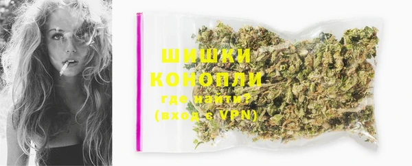 стафф Новокубанск