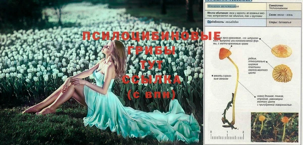 сатива Воткинск