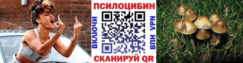 Галлюциногенные грибы Psilocybe  кракен ссылки  Семикаракорск 